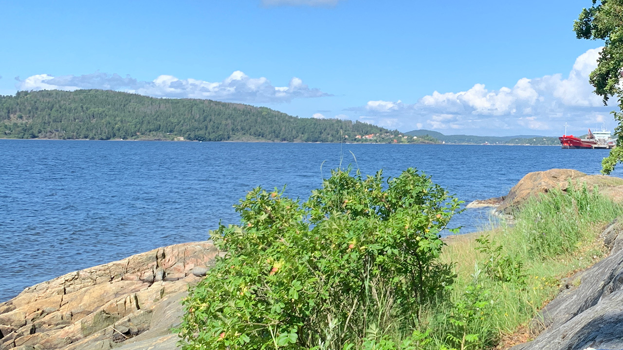 Mossesundet sett fra Kyststien langs Mosseskogen